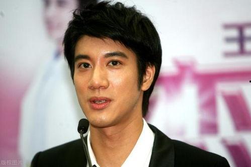 吃瓜娱乐圈 王力宏,娱乐圈的瓜田,他的故事与争议